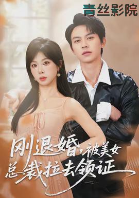 刚退婚,被美女总裁拉去领证