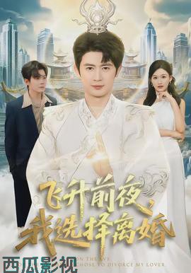 飞升前夜,我选择离婚