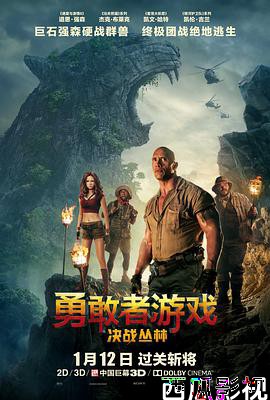 勇敢者游戏：决战丛林