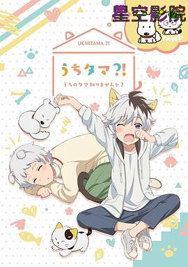 家有圆圆？！我家的圆圆你知道吗？