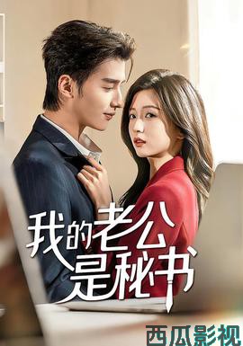 我的老公是秘书