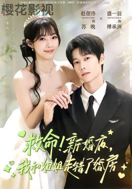 救命!新婚夜,我和姐姐走错了婚房