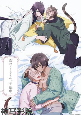 森林里的熊先生冬眠中