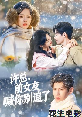 许总,前女友喊你别追了