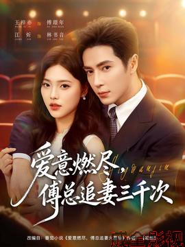 爱意燃尽,傅总追妻三千次