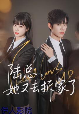 陆总,她又去拆家了