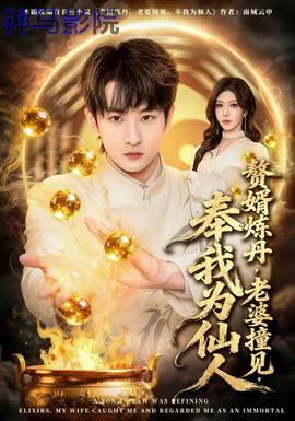 赘婿炼丹,老婆撞见,奉我为仙人