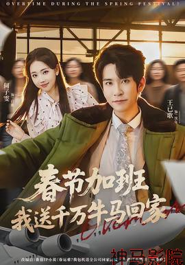 春节加班,我送千万牛马回家