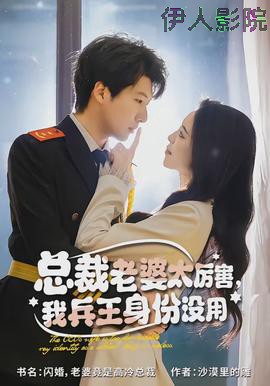 总裁老婆太厉害,我兵王身份没用