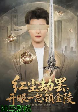 红尘劫罢,开眼一怒镇金陵