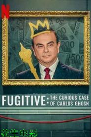 通天大逃犯:汽车大亨戈恩奇案