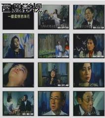 一缕柔情欲海花