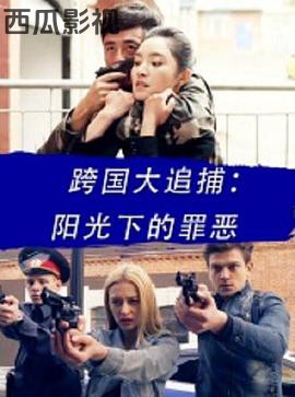 跨国大追捕：阳光下的罪恶