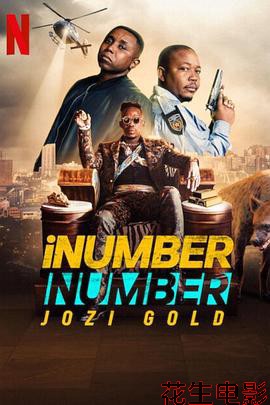 iNumberNumber:约堡黄金大劫案