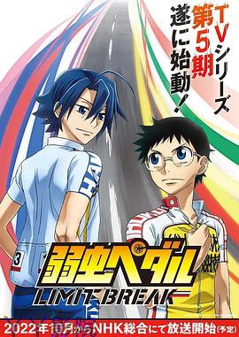 飙速宅男第五季