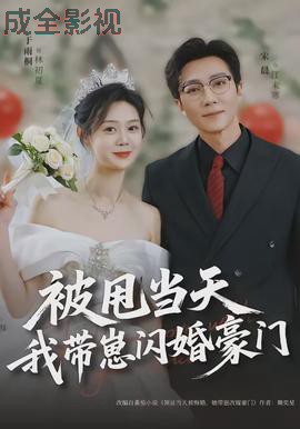 被甩当天我带崽闪婚豪门