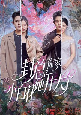 封总,你家小白花她开大了