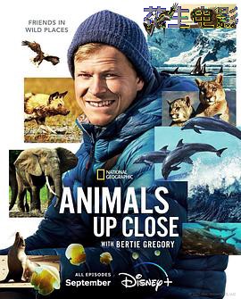 贝尔蒂·格雷戈里:与动物零距离