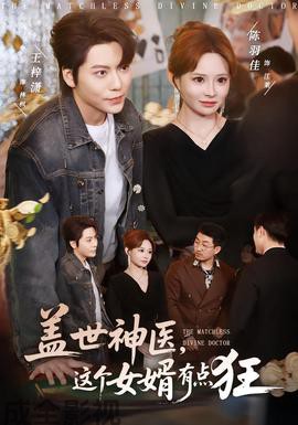 盖世神医,这个女婿有点狂