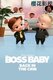 宝贝老板:返宝还童