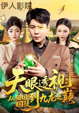 天眼透视:从缅国囚徒到九龙之巅