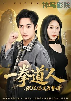 一拳道人，假结婚成真赘婿